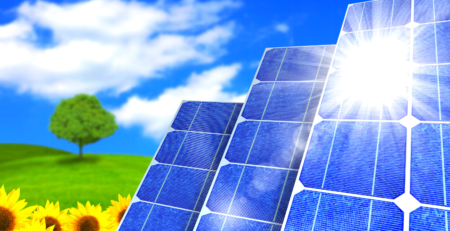 Solar panels in a field of sunflowers