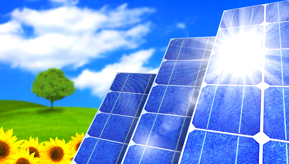 Solar panels in a field of sunflowers