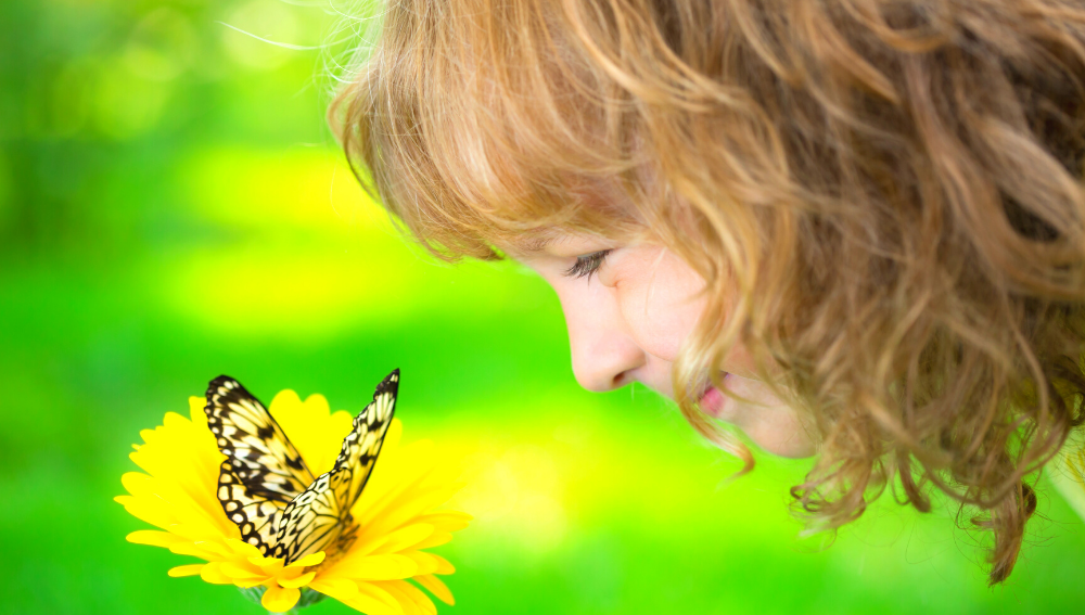 Girl watching a butterfly on a yellow flower