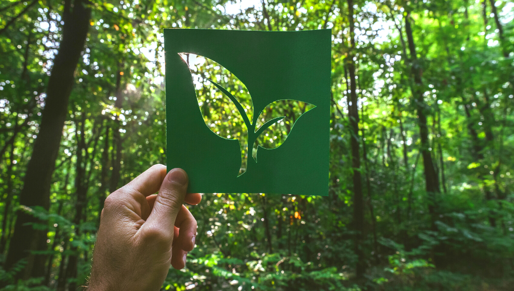 Hand holding a leaf cut-out in front of a green forest