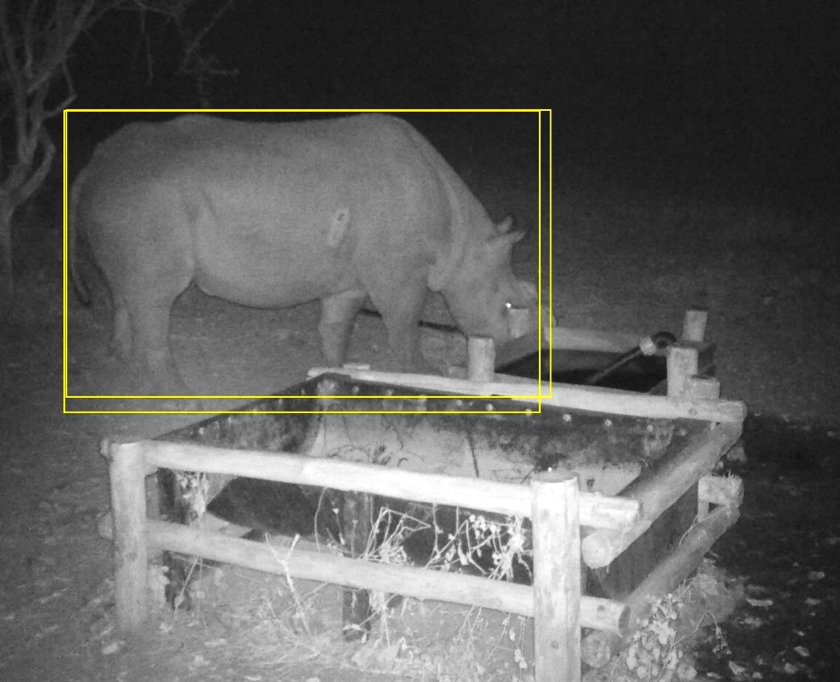 March 2023 Newsletter images (46)