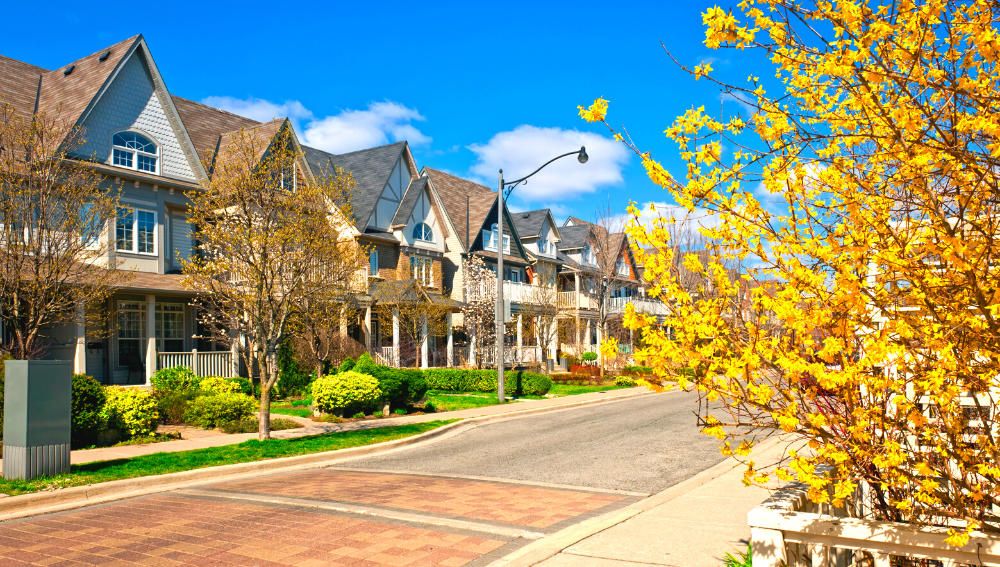 Road in a residential estate