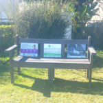 Park bench on a green lawn
