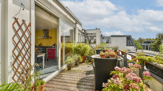 garden with various flowers